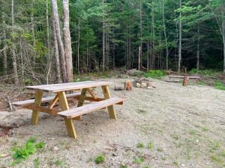 Forest Camps - 1