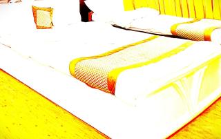 The Adarsh Hotel In Manali - 7