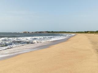 Whisker & Waves, Panama - 3