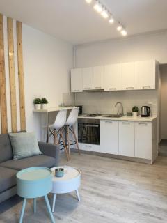 LOFTY near Old Town, near Bar, Kitchen, with washer - 0