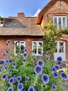 Hus Heverkoog - 5