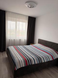 Dinu Rent Apartments - 8