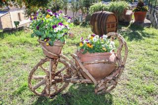 Antica Cantina Emilia - 2