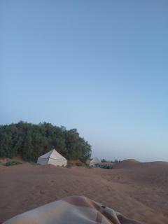 Sahara Caravan - 3
