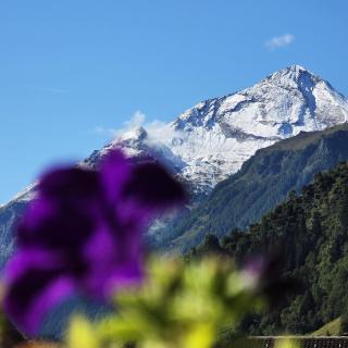 Ritterhof Apartment inkl Hohe Tauern Sommercard - 5