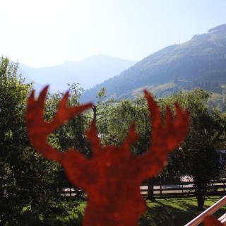 Ritterhof Apartment inkl Hohe Tauern Sommercard - 6