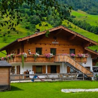 Ritterhof Apartment inkl Hohe Tauern Sommercard - 0