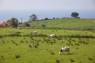 Rural Villa with Sea Views - 6