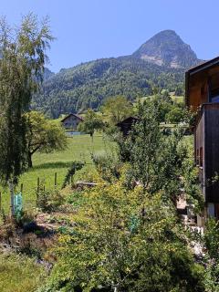 Green Swiss Mountain Paradise - 8