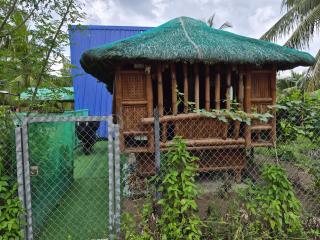 Daniel's Point Beach Cabins - 4