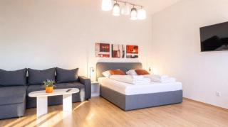 Attractive 2BR Apt Near AKH Ideal for short & Longstays - 3