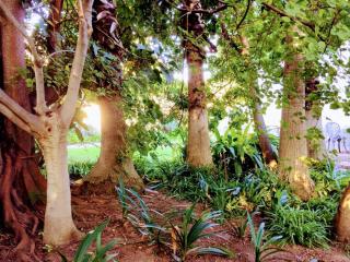 Polokwane Place-Uhuru Manor - 3