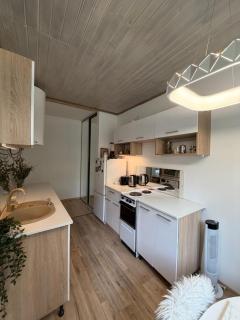 Apartment with sauna and fireplace - Viitna - 3