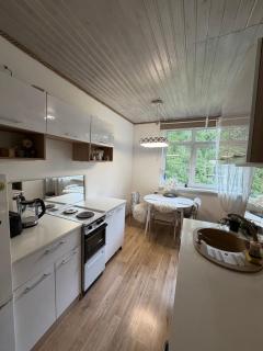 Apartment with sauna and fireplace - Viitna - 6