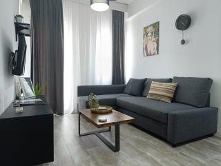DOWN TOWN Luxurious Apartments (1) - 0