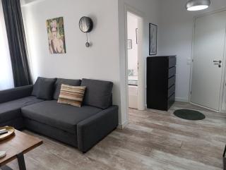 DOWN TOWN Luxurious Apartments (1) - 6
