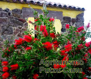 Agriturismo nuraghe Putzu Canu - Perfugas - 1