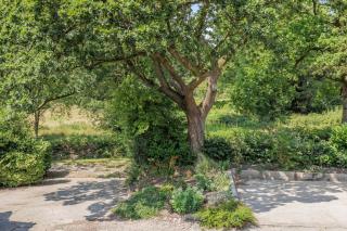 1 Bed in Chard oc-91135 - 2