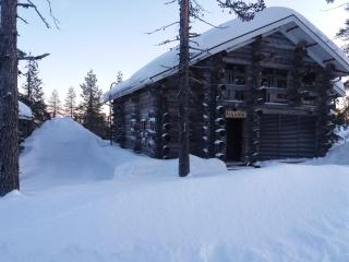 NAAVA- Pine log Villa on Utsuvaara fell in Levi - 9