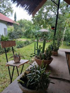 Jellybox Malindi Backpackers - 2