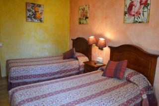Hotel y Hostal Vall d Aneu - 4