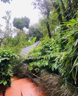 Mountain Cottages Holidays in Coorg - 9