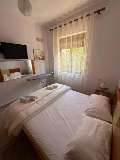 Cozy Apartament in Tirana - 5