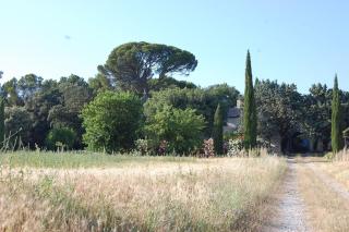Mas de famille en Provence - 4