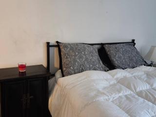 1 bd apartment sleeps 4- 20 mins from everything - 4