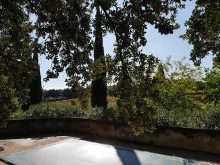 Mas de famille en Provence - 7
