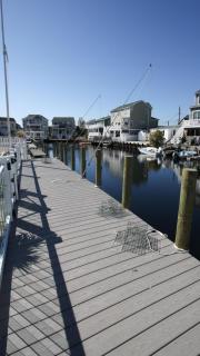 Beach Haven West Pet Friendly Waterfront Lagoon Front Beach Badges Wifi - 9