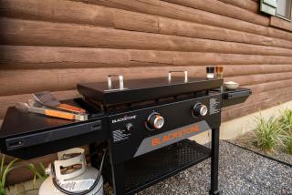 Upscale Designer Log Cabin Cozy Hot Tub Firepit - 3