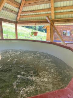 Cabana Sânziana - 1