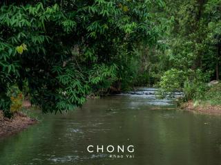 Chong Khaoyai - 1