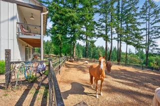 Wine Country Horse Farm Cabin Near Wineries - 0