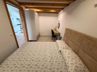 Ana's Nest - 2