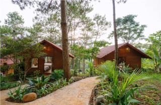 D-Hill Village - 6