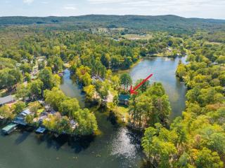 Lakefront Retreat Private Peninsula Kayaks & - 7