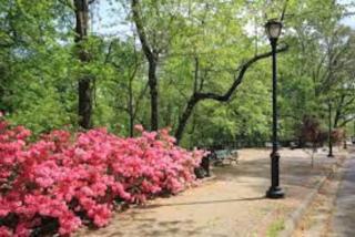 A Hillcrest Harbor for Couples or Digital Nomads - 7