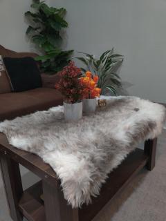 Daily reservation Apartment - 5
