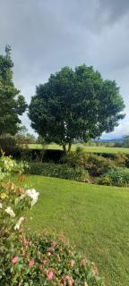 Kaimai Sunset Bed & Breakfast - 8