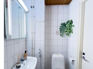Kodikas Skandi-tyylinen Yksiö Keskustassa - 1