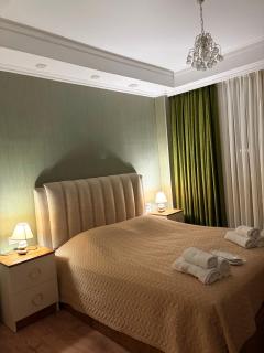 Comfortable Apartment in Kutaisi City Centre - 2