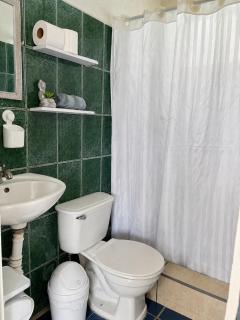 Rooms & Pool Macaws - 2