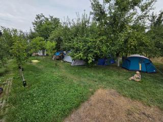 Bonțida Retreat - 2
