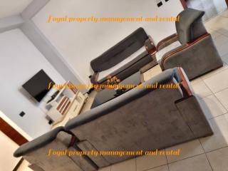 Spacious Furnished 3-Bedroom Apartment near UNECA - 9