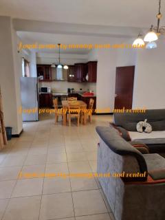 Spacious Furnished 3-Bedroom Apartment near UNECA - 5