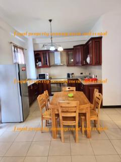 Spacious Furnished 3-Bedroom Apartment near UNECA - 7