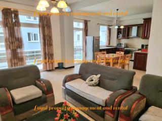 Spacious Furnished 3-Bedroom Apartment near UNECA - 1