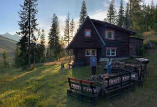 Childhood's Dream Cabin - 9
